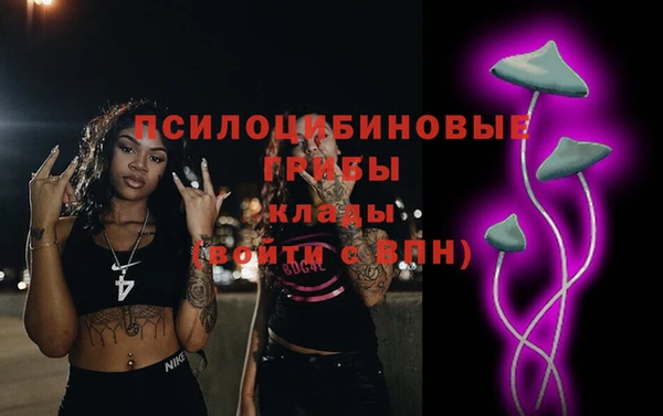 амф Арсеньев
