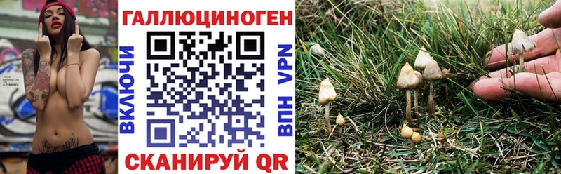 Псилоцибиновые грибы мицелий  kraken онион  Певек 